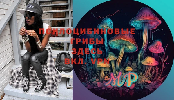 шишки Магадан