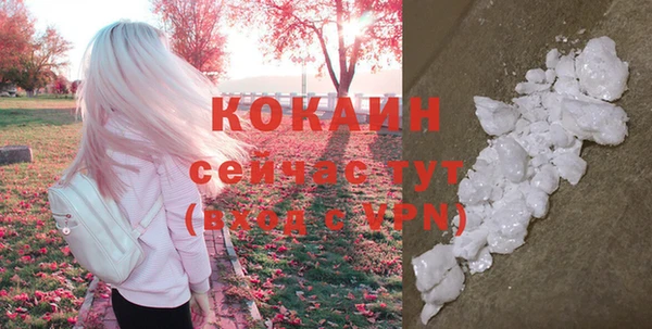 винт Магас
