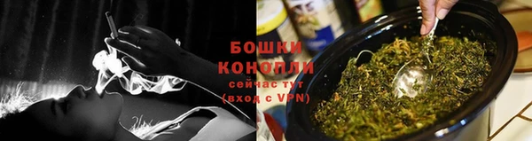винт Магас