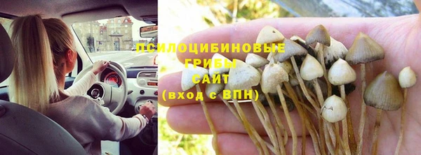 синтетический гашиш Медногорск