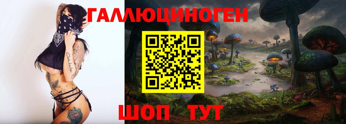 Псилоцибиновые грибы мицелий Ухта
